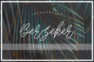 Berzeker: A Designer’s Review Before Real Project Use