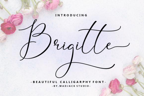Brigitte: A Designer’s Honest Review for Real Project Work