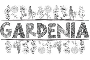 Gardenia LF: A Hand-Drawn Floral Font Built for the Web