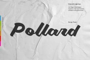 Pollard Script Review: A Bold Script Font for Campaign Design